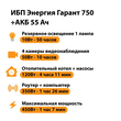 ИБП для котла Энергия Гарант 750 + Аккумулятор 55 Ач 12 В (450Вт - 67мин) - ИБП и АКБ - ИБП для котлов - . Магазин оборудования для автономного и резервного электропитания Ekosolar.ru в Димитровграде