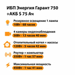 ИБП Энергия Гарант 750 + Аккумулятор S 75 Ач - 12В (450Вт - 91мин) - ИБП и АКБ - ИБП для котлов - . Магазин оборудования для автономного и резервного электропитания Ekosolar.ru в Димитровграде